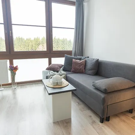 Rezidence Klinovec Apartment Loucna pod Klinovcem Room photo