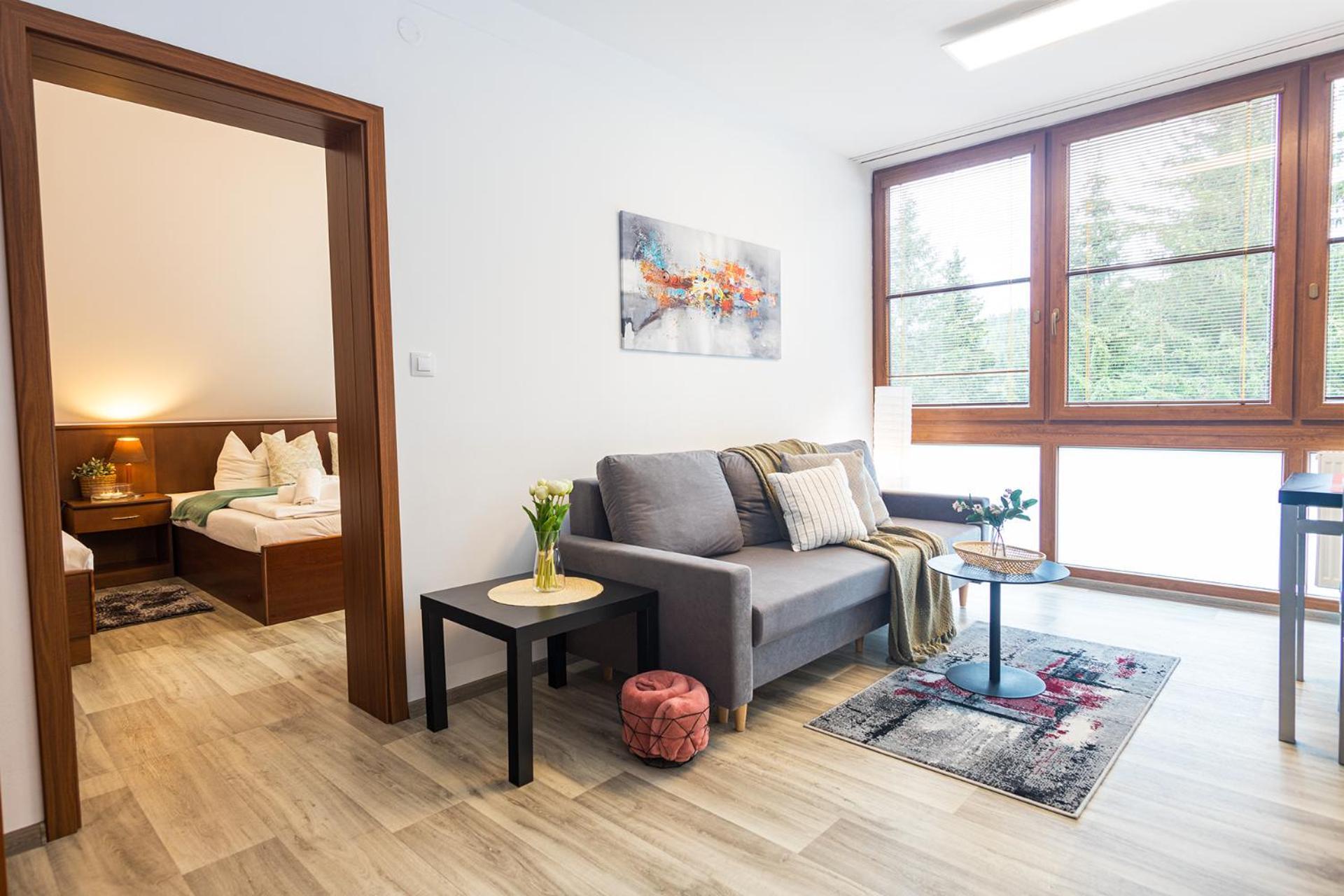 Apartmán Rezidence Klínovec *